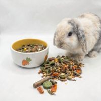 Králičí krmivo Ušáček Onlinepet
