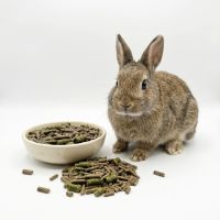 Králičí krmivo Complet Onlinepet