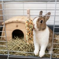 Vitapol 2 klasy, hlodavec a králík, zelenina
